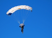 塞尔维亚队引发争议！，穆雷官方宣布最后时刻胜出新规全场沸腾不已