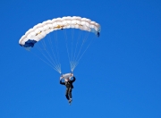 塞尔维亚队引发争议！，穆雷官方宣布最后时刻胜出新规全场沸腾不已