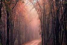  明尼苏达州摄影师社长 